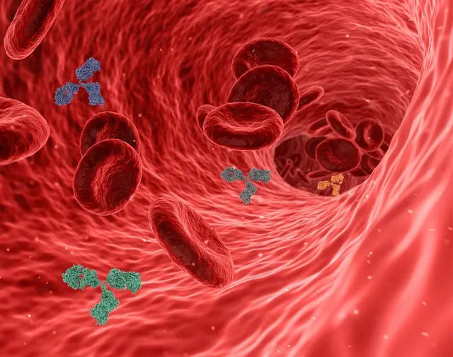 Assists Cholesterol