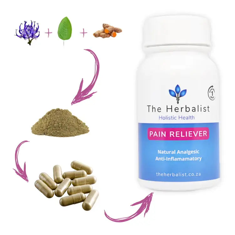 Pain Reliever a natural analgesic anti inflammatory with diagram showing ingredients transform t capsules.