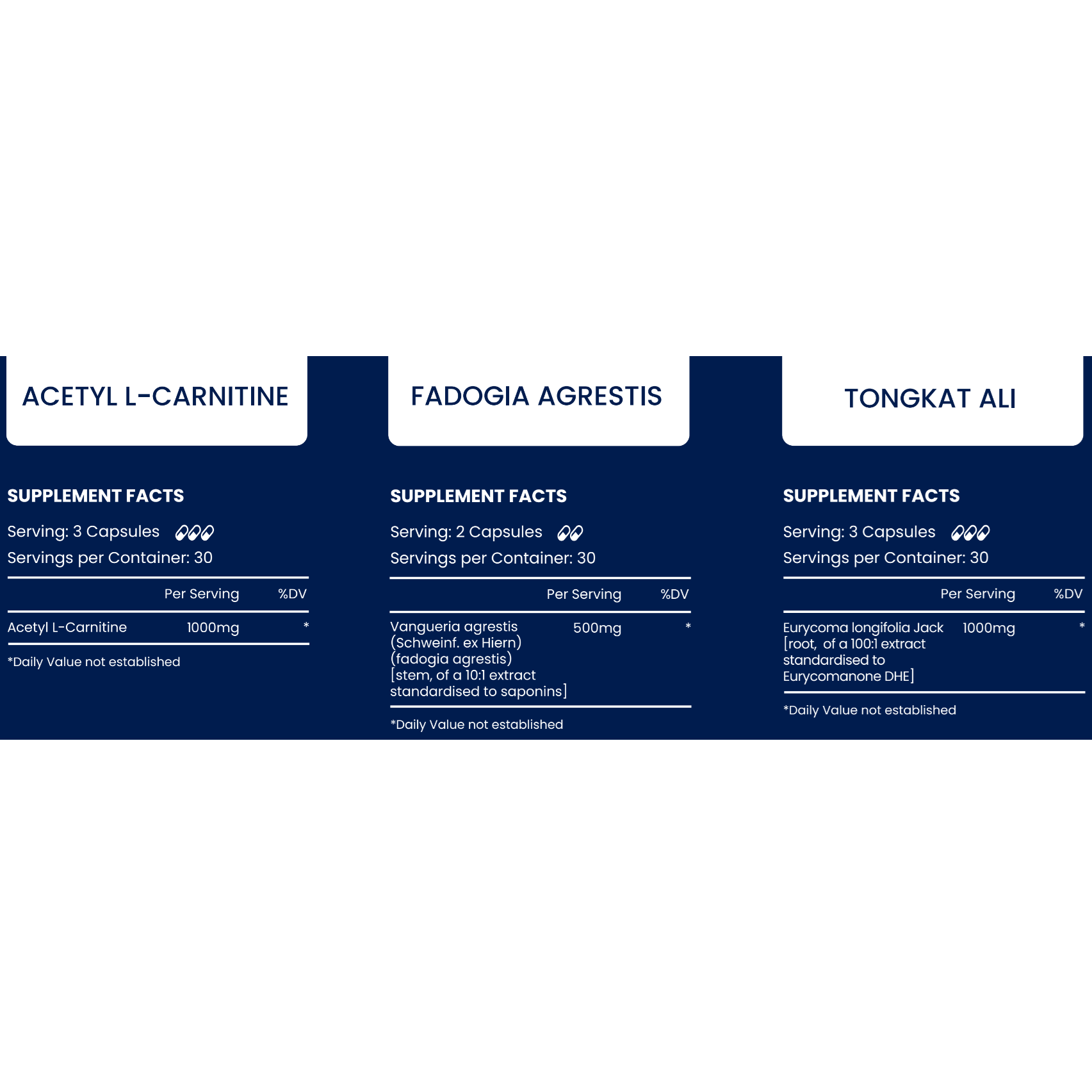 Description and ingredients leaflet of Powerblast Wellness Goal bundle.